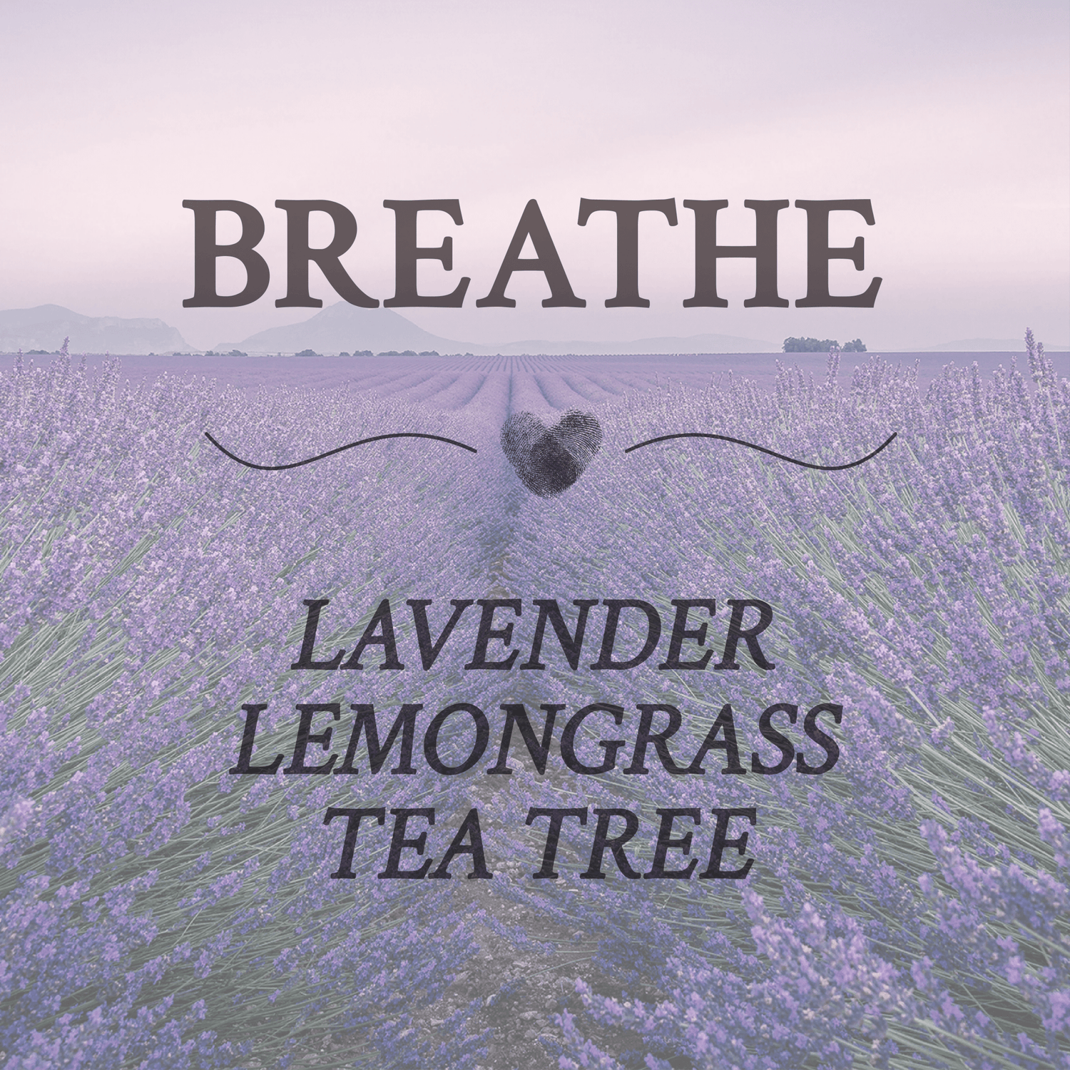 Breathe - Blue & Bear