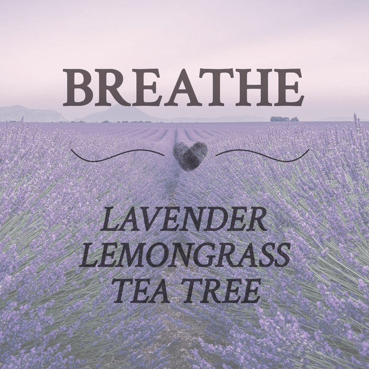 Breathe - Blue & Bear