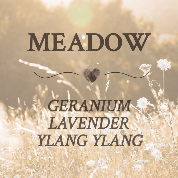 Meadow - Blue & Bear