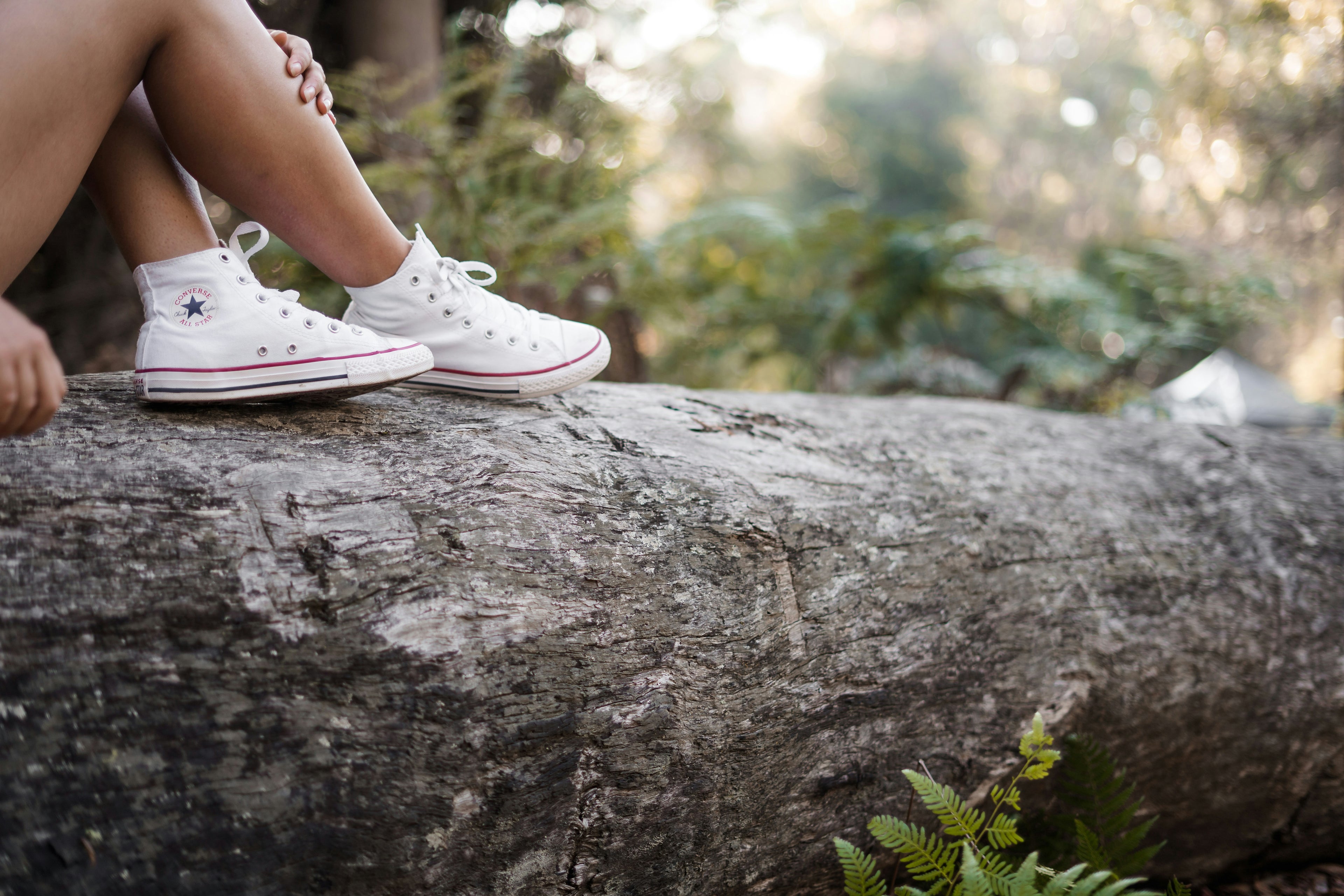 Girl sitting on a log remeniscing about happy memories. The delightful fragrances of naure from Blue & Bear products can transport you though time