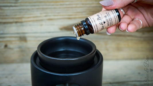 Dripping 5–7 drops of Blue & Bear Pure Essential Oil Blend to water in an oil burner or diffuser.