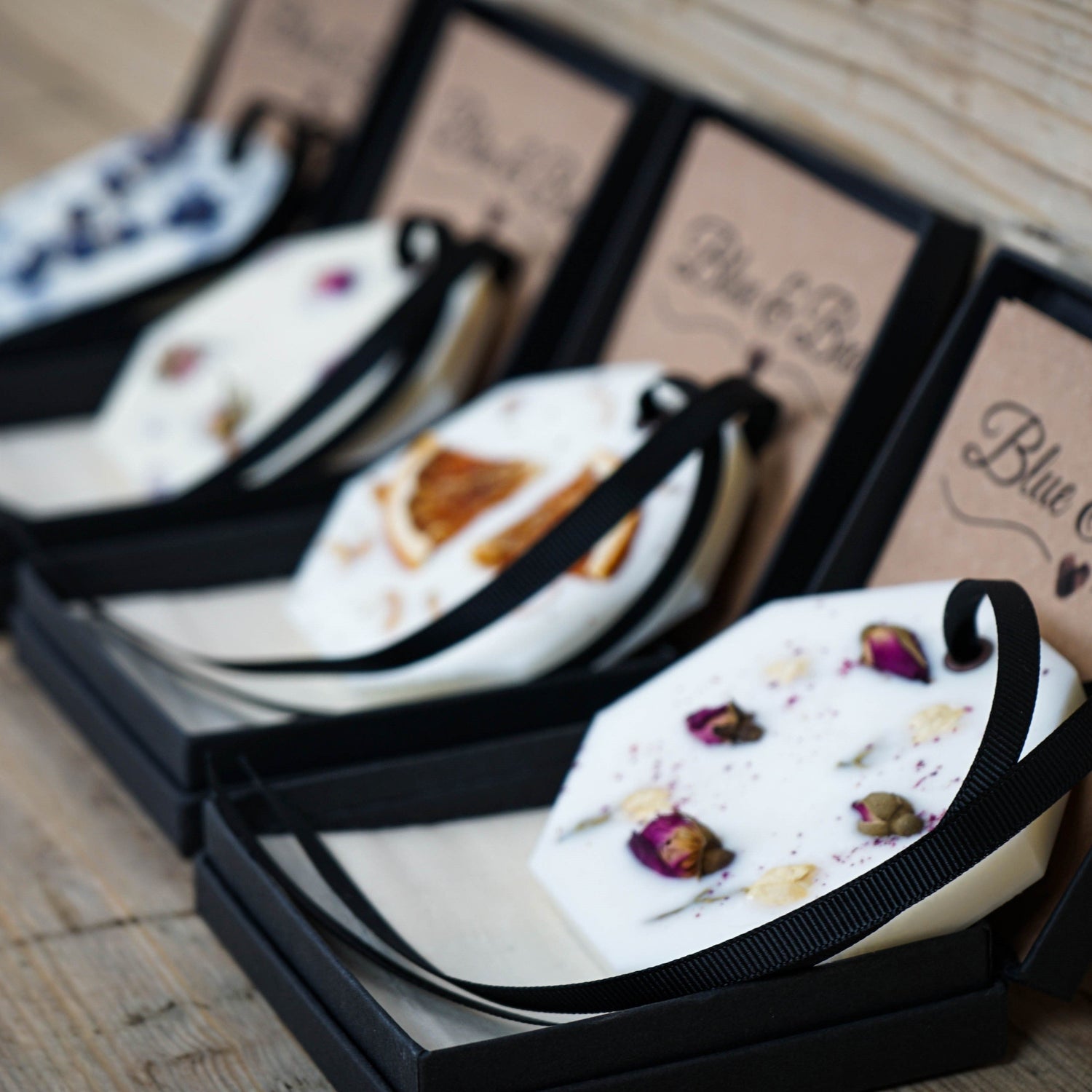 Botanical Palettes - Blue & Bear