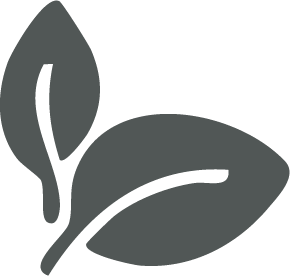 Leaf icon symbolising pure botanical skincare and eco-friendly fragrance products from Blue & Bear