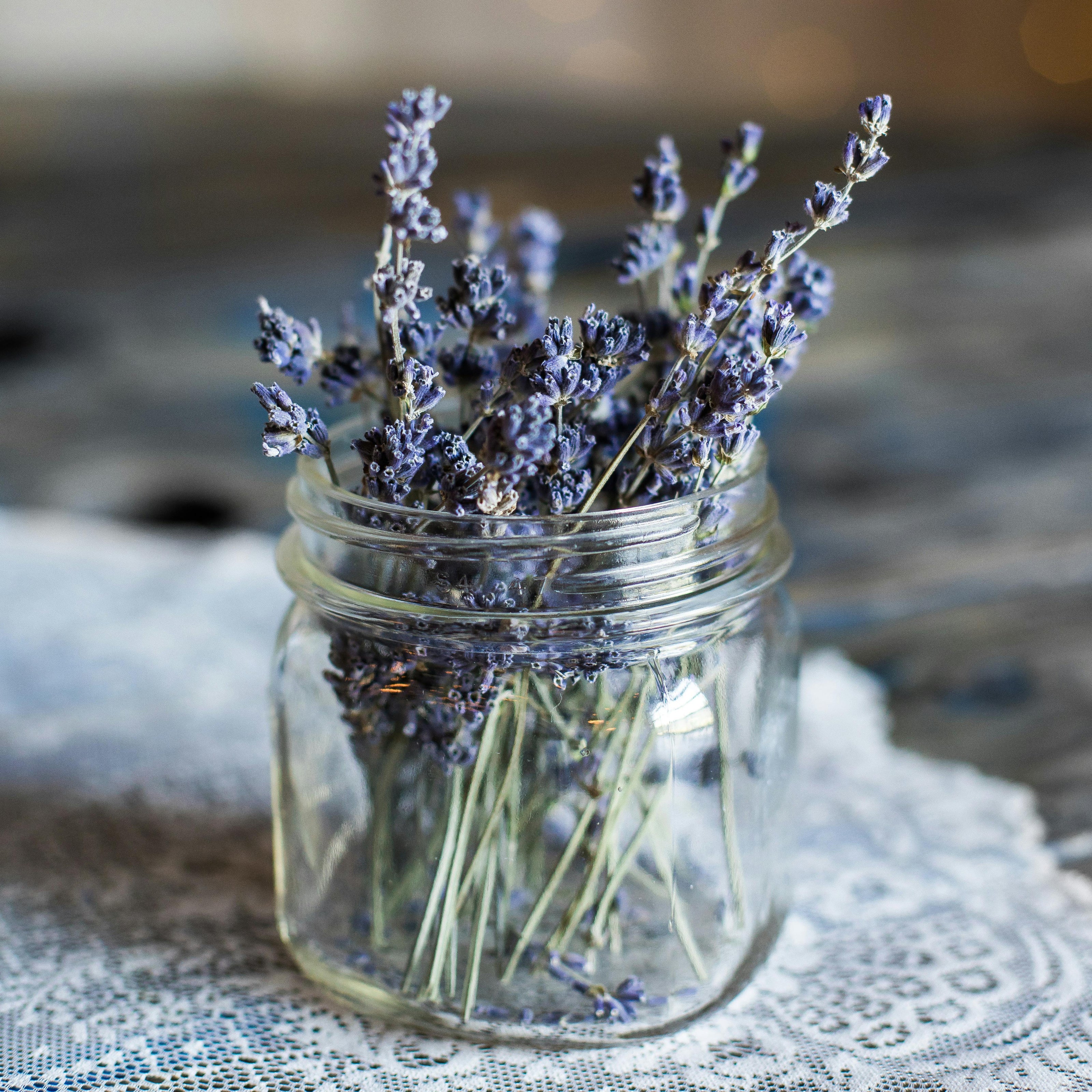 Dried Lavender stems in a jar - Blue & Bear handcrafted essential oil gifts