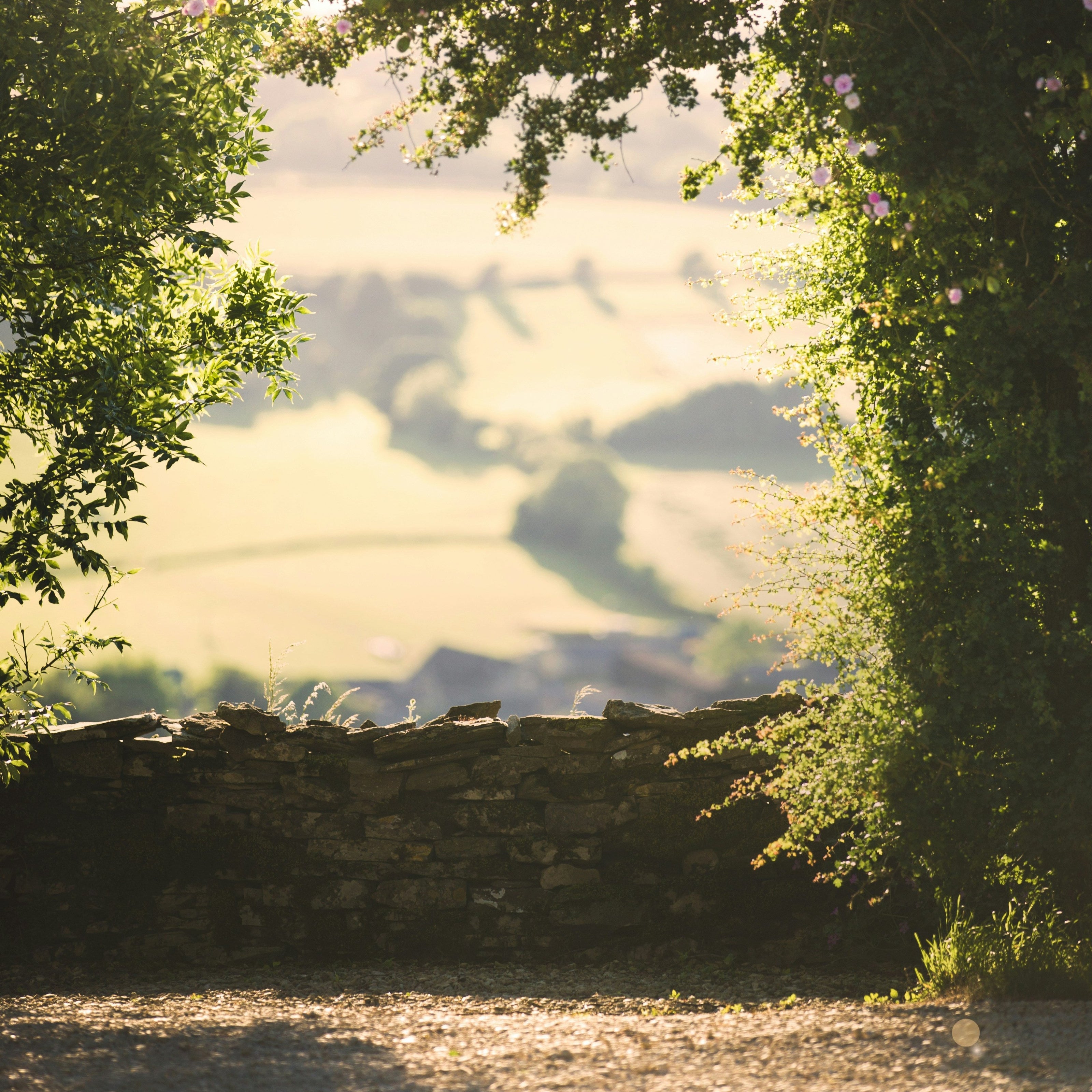 View over a stone wall to the sunlight rolling hills of the The Cotwolds - Blue & Bear